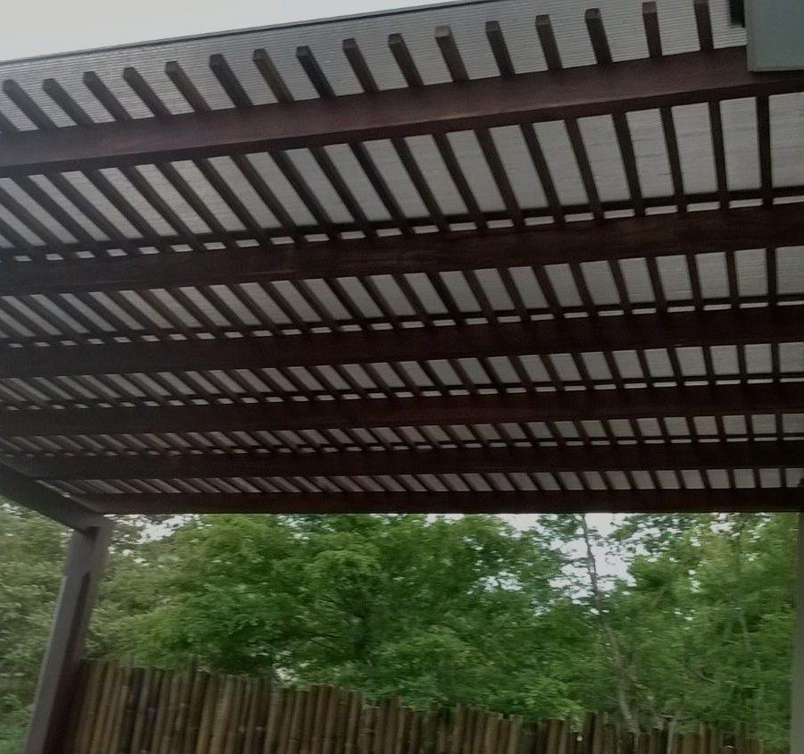 23. EL GUACALITO VERDEMAR